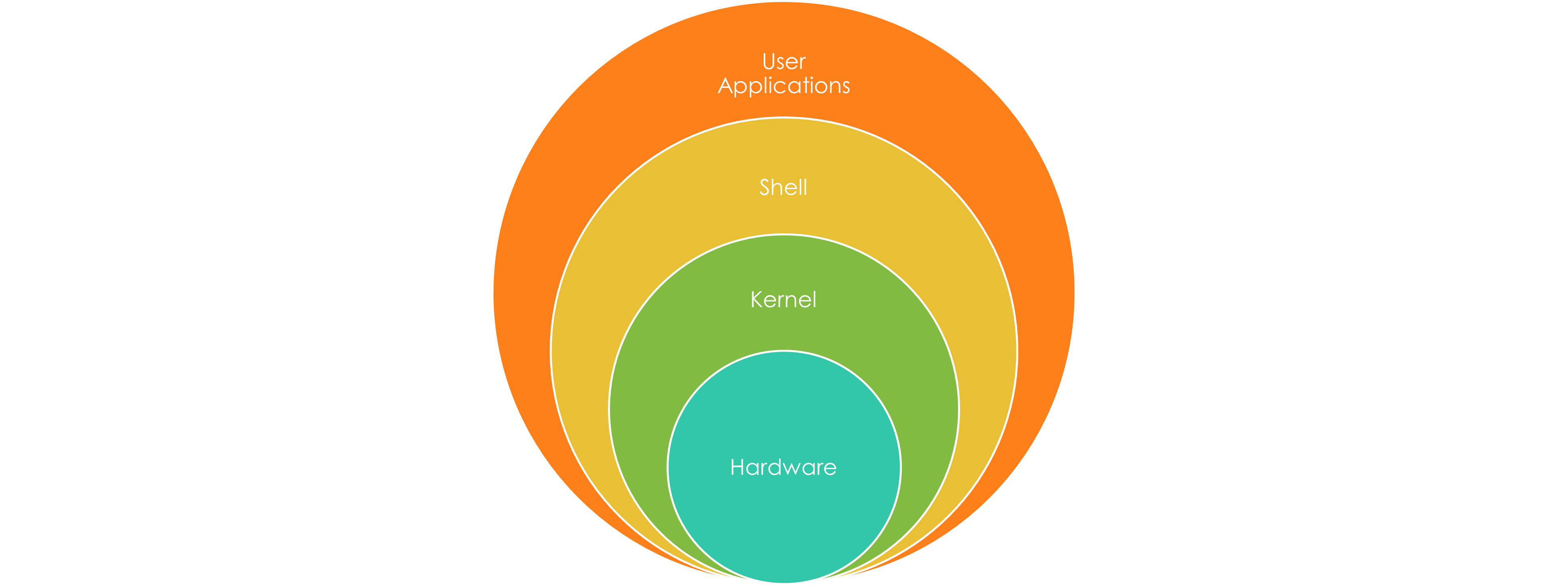 No description has been provided for this image